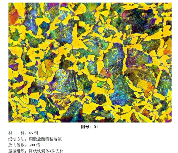 彩色金相图片 (3).webp